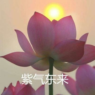 部落冲突搜狗版下载